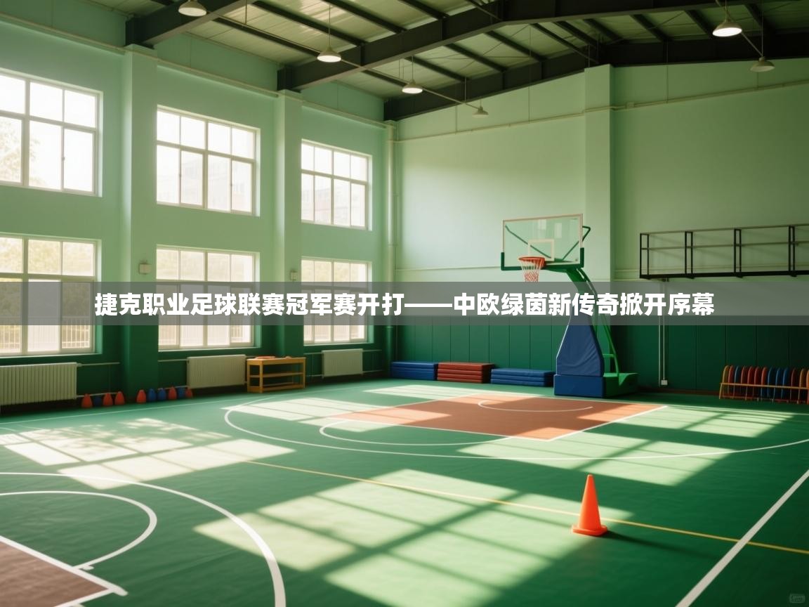 捷克职业足球联赛冠军赛开打——中欧绿茵新传奇掀开序幕