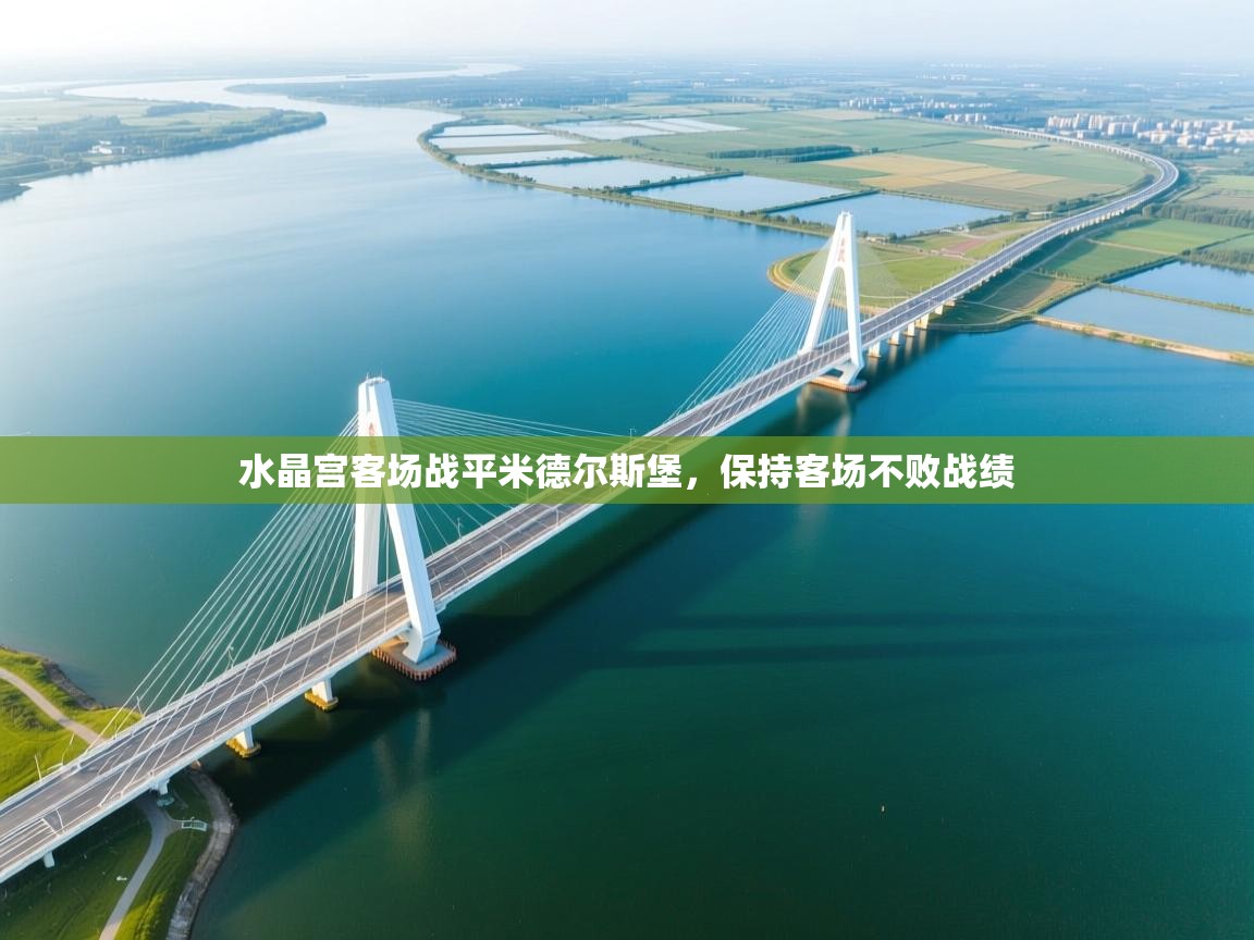 水晶宫客场战平米德尔斯堡,保持客场不败战绩 第2张